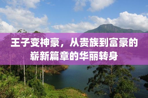 王子變神豪，從貴族到富豪的嶄新篇章的華麗轉(zhuǎn)身