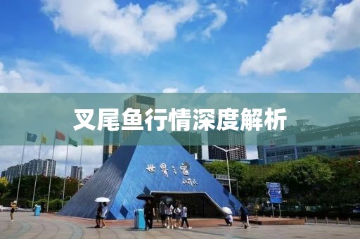叉尾魚行情深度解析