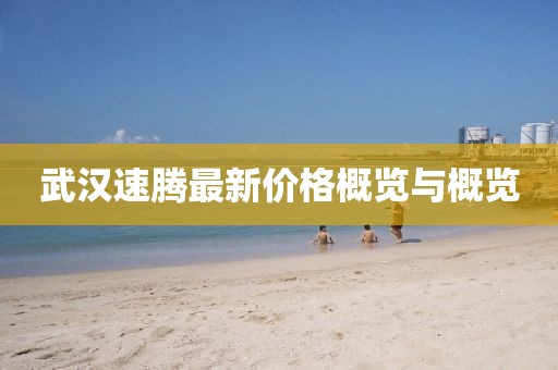 武漢速騰最新價(jià)格概覽與概覽