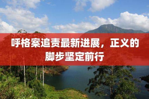 呼格案追責(zé)最新進(jìn)展，正義的腳步堅(jiān)定前行
