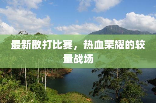 最新散打比賽，熱血榮耀的較量戰(zhàn)場(chǎng)
