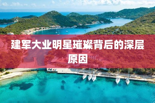 建軍大業(yè)明星璀璨背后的深層原因
