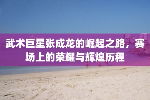 武術(shù)巨星張成龍的崛起之路，賽場上的榮耀與輝煌歷程