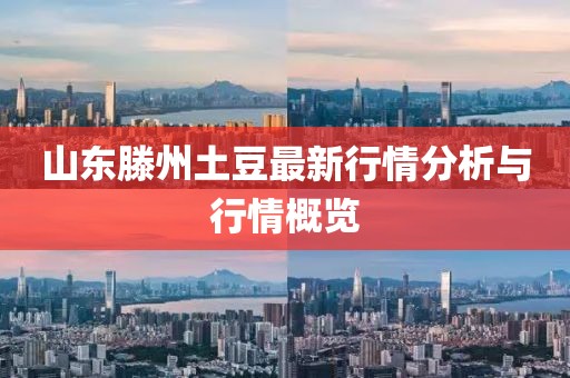 山東滕州土豆最新行情分析與行情概覽