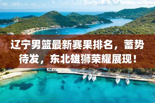 遼寧男籃最新賽果排名，蓄勢待發(fā)，東北雄獅榮耀展現(xiàn)！