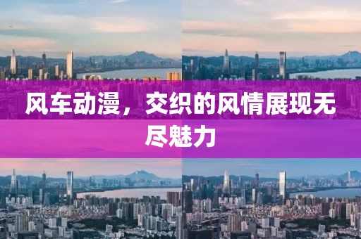 風(fēng)車動(dòng)漫，交織的風(fēng)情展現(xiàn)無(wú)盡魅力