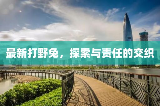 最新打野兔，探索與責(zé)任的交織