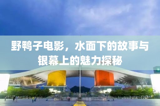 野鴨子電影，水面下的故事與銀幕上的魅力探秘