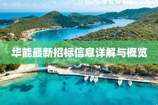 華能最新招標(biāo)信息詳解與概覽
