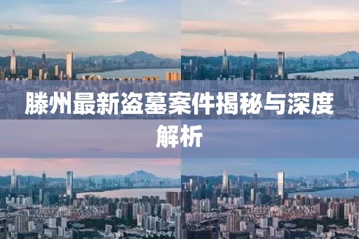 滕州最新盜墓案件揭秘與深度解析