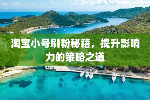 淘寶小號(hào)刷粉秘籍，提升影響力的策略之道