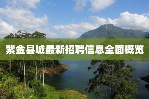 紫金縣城最新招聘信息全面概覽
