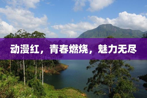 動(dòng)漫紅，青春燃燒，魅力無盡