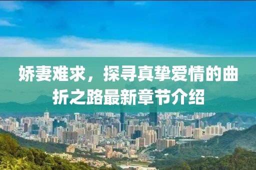 嬌妻難求，探尋真摯愛情的曲折之路最新章節(jié)介紹