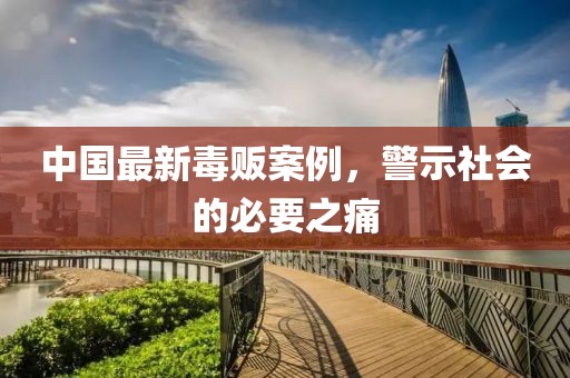 中國最新毒販案例，警示社會的必要之痛
