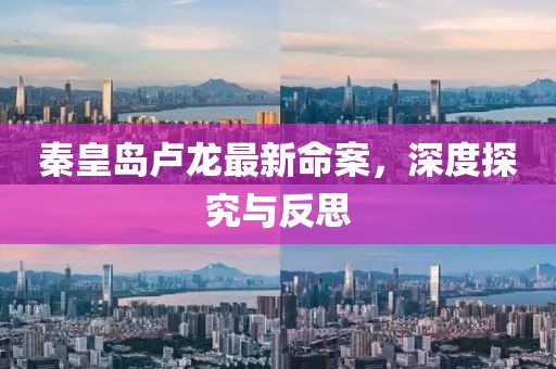 秦皇島盧龍最新命案，深度探究與反思