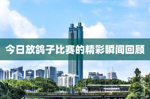 今日放鴿子比賽的精彩瞬間回顧
