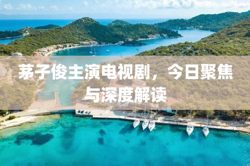 茅子俊主演電視劇，今日聚焦與深度解讀