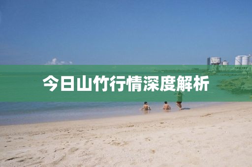 今日山竹行情深度解析