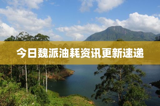 今日魏派油耗資訊更新速遞