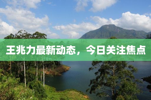 王兆力最新動(dòng)態(tài)，今日關(guān)注焦點(diǎn)