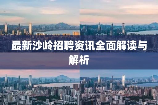 最新沙嶺招聘資訊全面解讀與解析