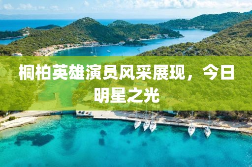 桐柏英雄演員風(fēng)采展現(xiàn)，今日明星之光
