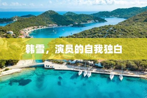 韓雪，演員的自我獨(dú)白