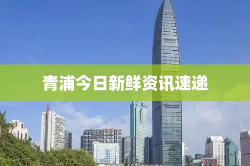 青浦今日新鮮資訊速遞