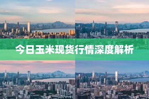 今日玉米現(xiàn)貨行情深度解析