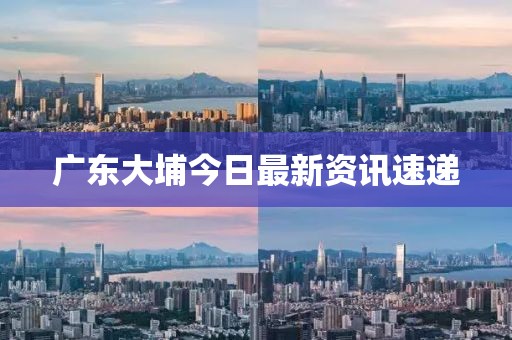 廣東大埔今日最新資訊速遞