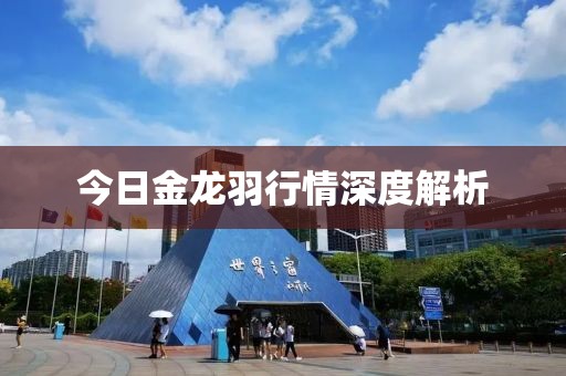 今日金龍羽行情深度解析