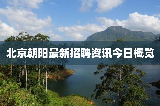 北京朝陽最新招聘資訊今日概覽