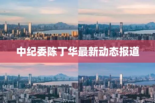 中紀(jì)委陳丁華最新動(dòng)態(tài)報(bào)道