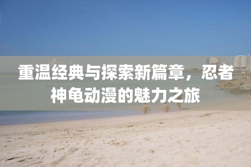 重溫經(jīng)典與探索新篇章，忍者神龜動漫的魅力之旅