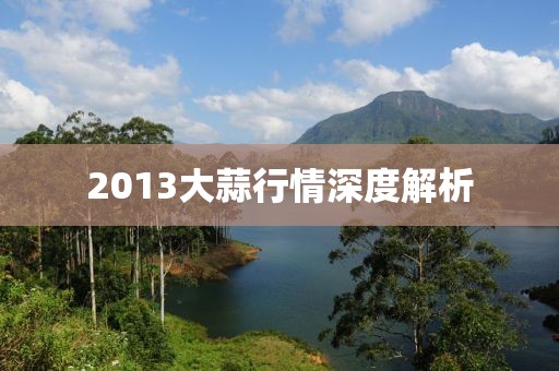 2013大蒜行情深度解析