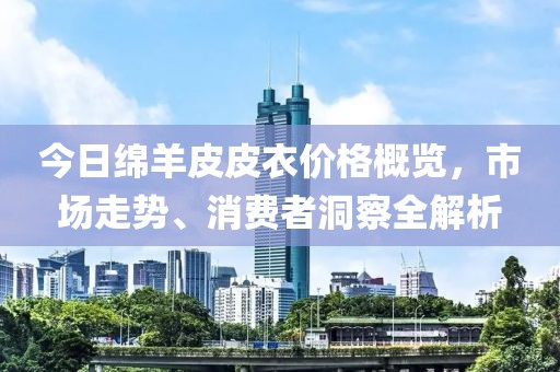 今日綿羊皮皮衣價格概覽，市場走勢、消費者洞察全解析