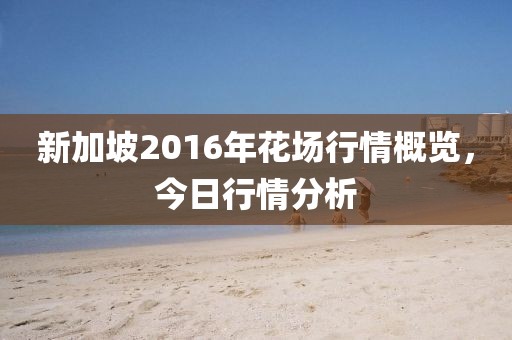 新加坡2016年花場(chǎng)行情概覽，今日行情分析