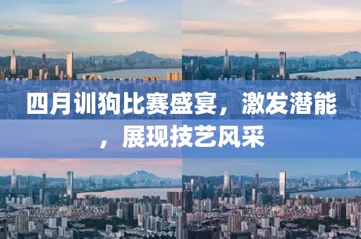 四月訓(xùn)狗比賽盛宴，激發(fā)潛能，展現(xiàn)技藝風(fēng)采
