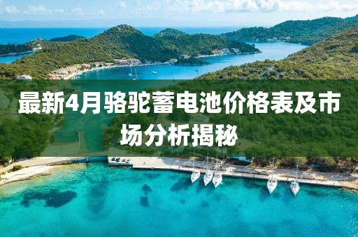 最新4月駱駝蓄電池價格表及市場分析揭秘