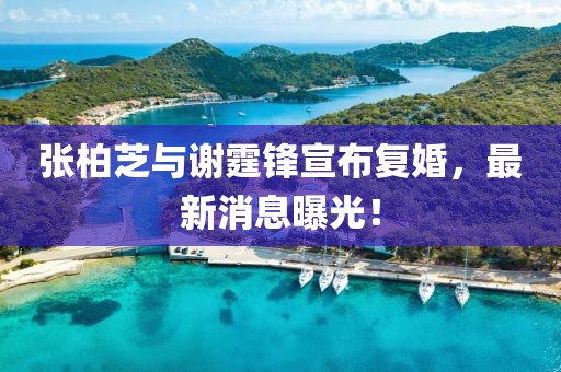 2025年4月23日 第7頁