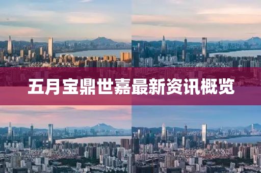 五月寶鼎世嘉最新資訊概覽