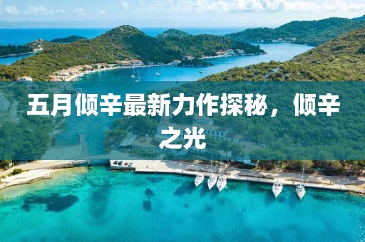五月傾辛最新力作探秘，傾辛之光