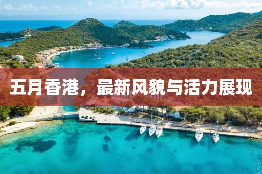 五月香港，最新風(fēng)貌與活力展現(xiàn)