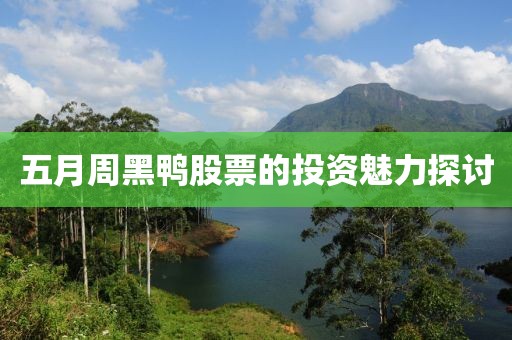 五月周黑鴨股票的投資魅力探討