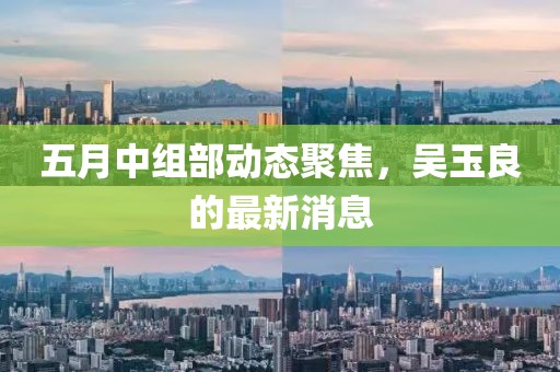 五月中組部動(dòng)態(tài)聚焦，吳玉良的最新消息