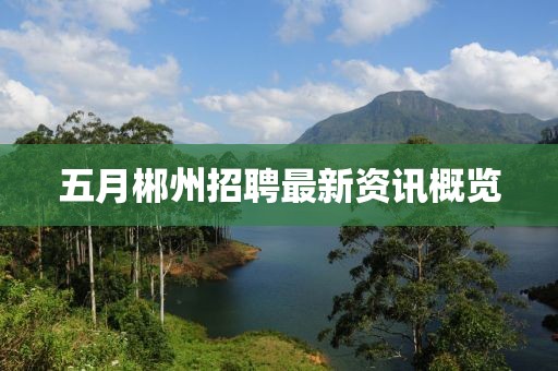 五月郴州招聘最新資訊概覽