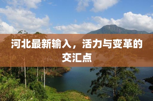河北最新輸入，活力與變革的交匯點(diǎn)