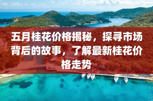 五月桂花價(jià)格揭秘，探尋市場(chǎng)背后的故事，了解最新桂花價(jià)格走勢(shì)
