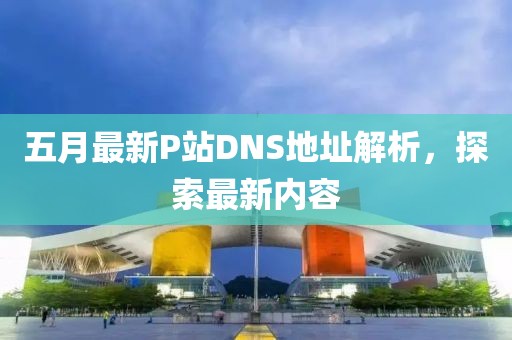 五月最新P站DNS地址解析，探索最新內(nèi)容